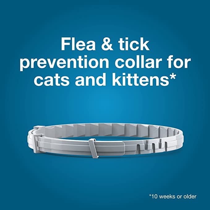 2 Pack Seresto 8 Month Flea and Tick Prevention Collar for Cats