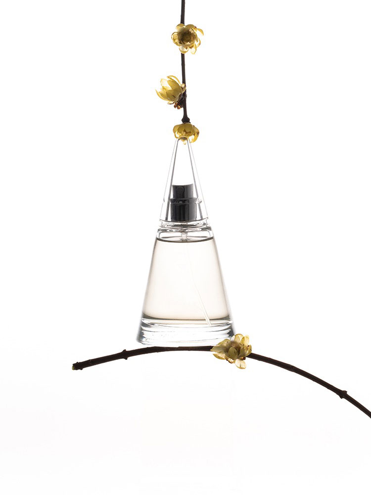 Solo waxing plum blossoms