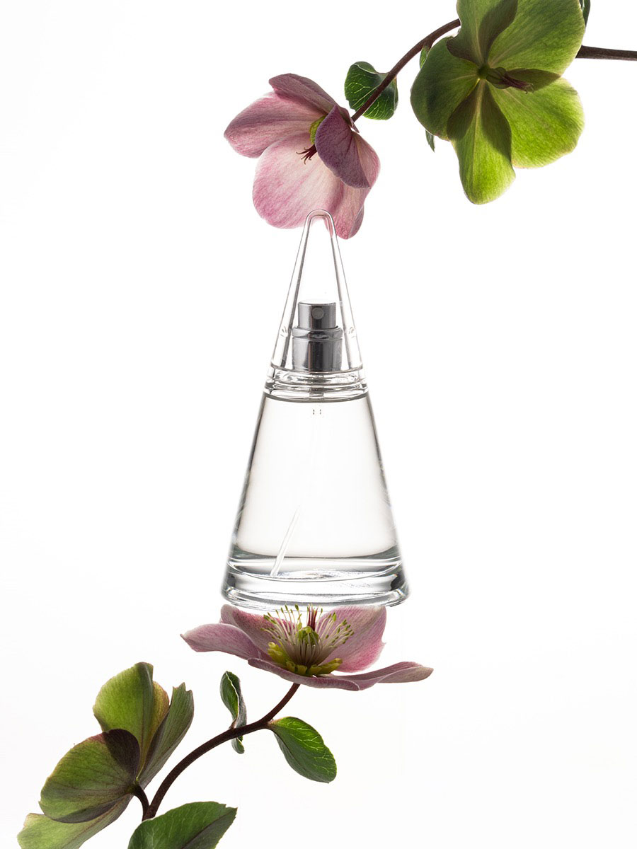The fan leads to a slightly cool fig fragrance