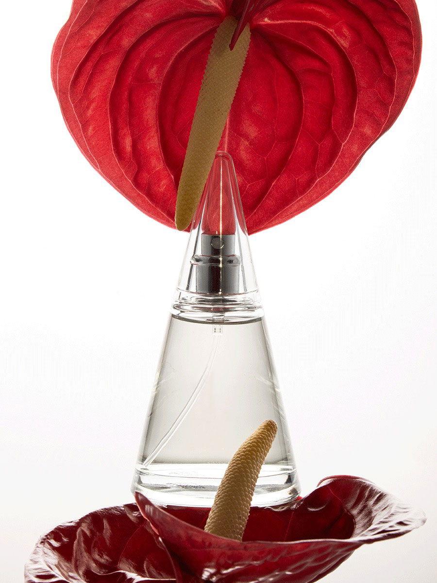 Send you a small red flower