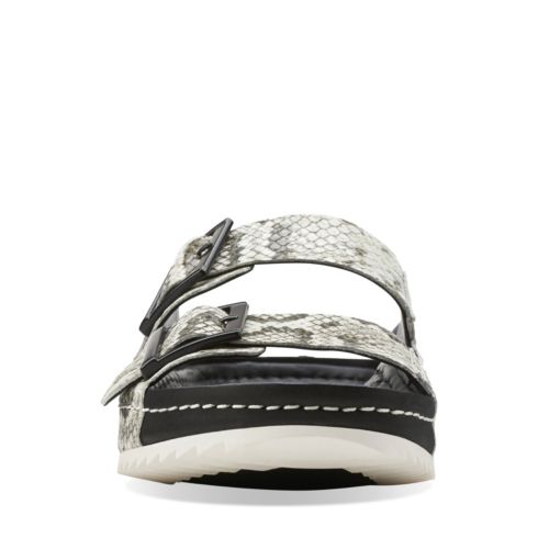 Clarks Netrix Rose