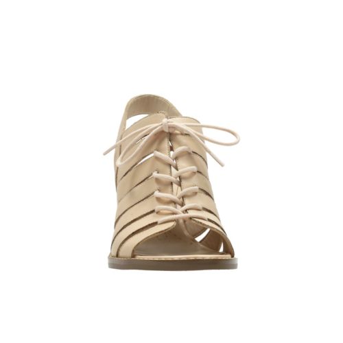 Clarks Glacier Ice