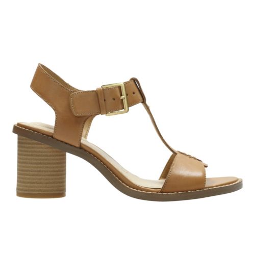 Clarks Glacier Ray