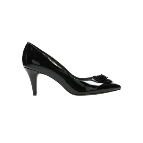 Clarks Banjolin Honey