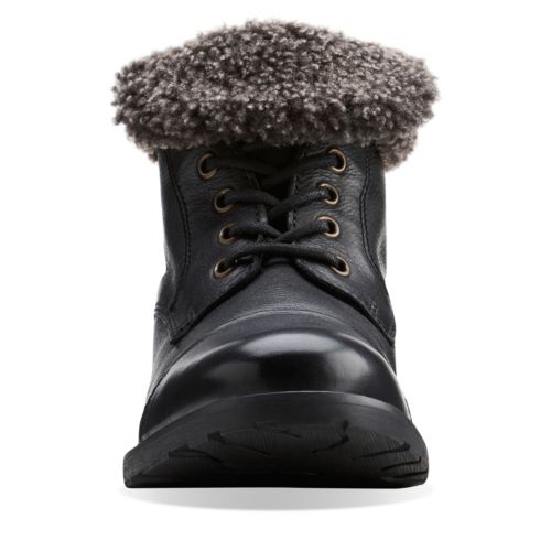 Clarks Hayride Elm