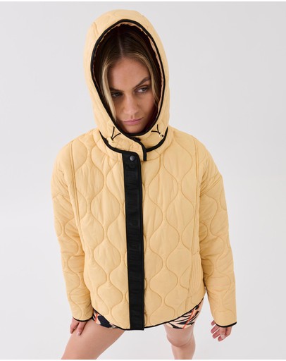 Advocate Jacket