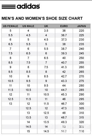 2020 Yeezy 350 V2  Flax  (LN5 A1)