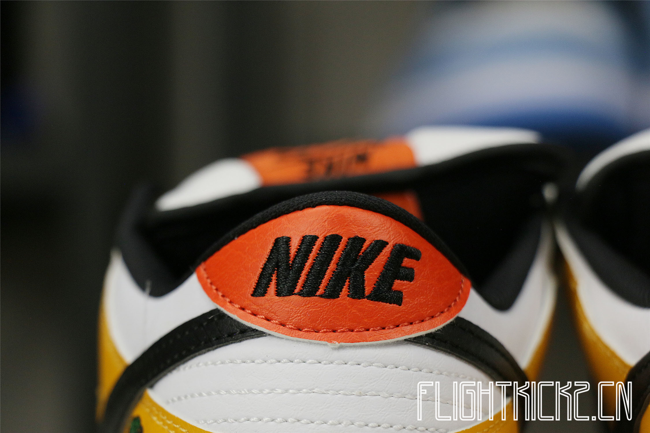 Nike SB Dunk Low Raygun White 2005