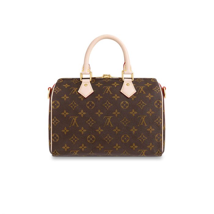 Louis Vuitton Speedy Bandouliere 25 M41113