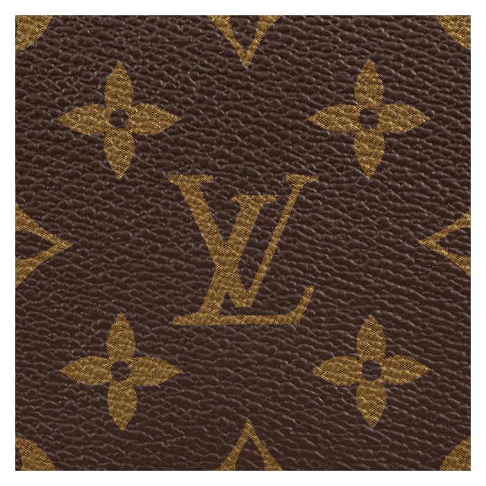 Louis Vuitton Speedy Bandouliere 25 M41113