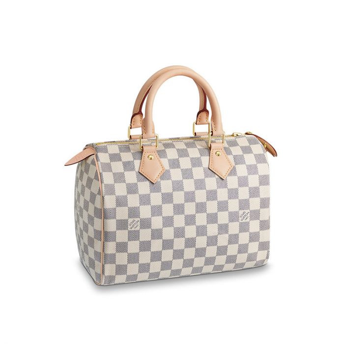 Louis Vuitton Speedy 25 N41371