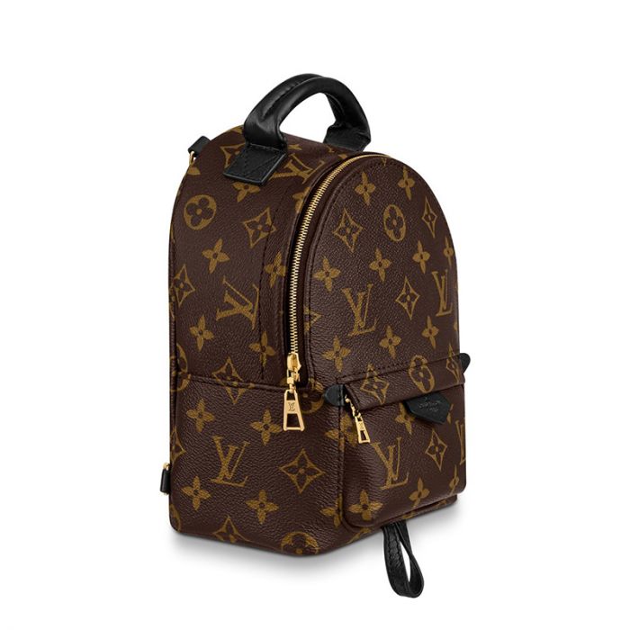 Louis Vuitton Palm Springs Mini M44873