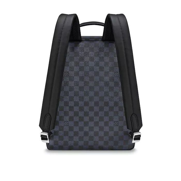 Louis Vuitton Apollo Backpack N50003