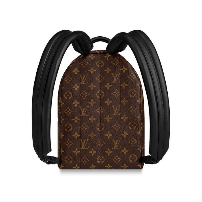 Louis Vuitton Palm Springs PM M44871