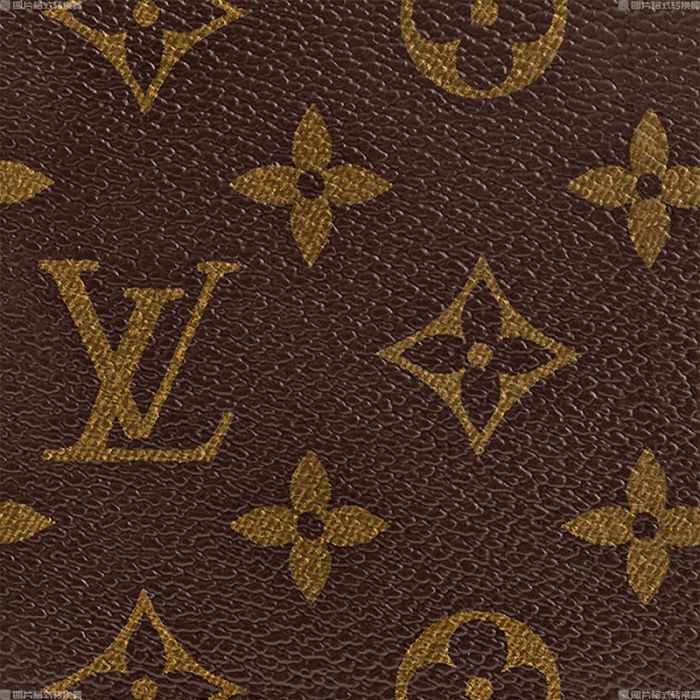 Louis Vuitton Multiple M60895