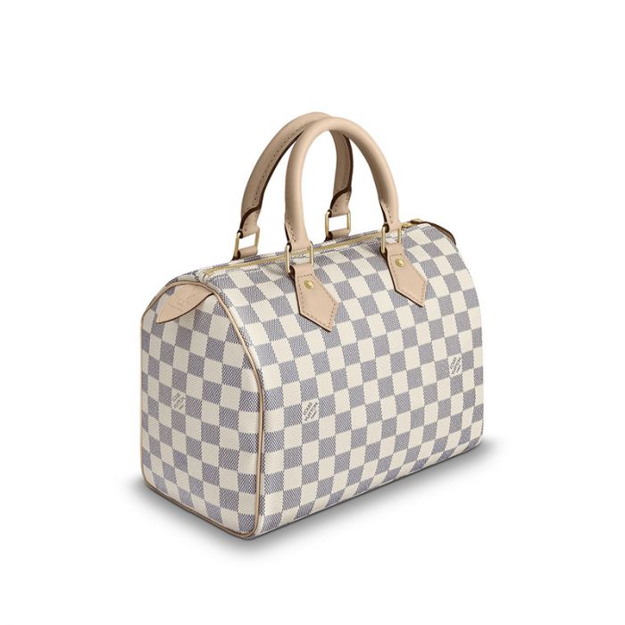 Louis Vuitton Speedy 25 N41371