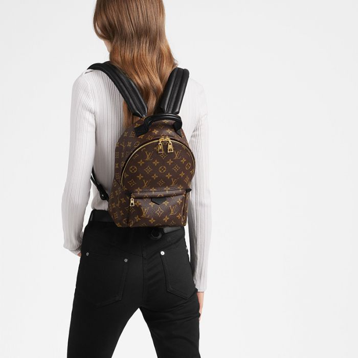 Louis Vuitton Palm Springs PM M44871