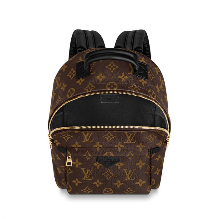 Louis Vuitton Palm Springs PM M44871