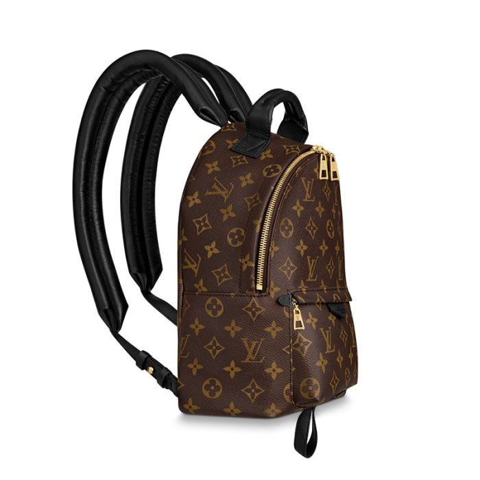 Louis Vuitton Palm Springs PM M44871