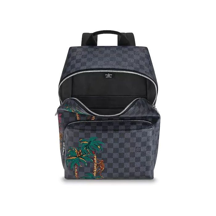 Louis Vuitton Apollo Backpack N50003