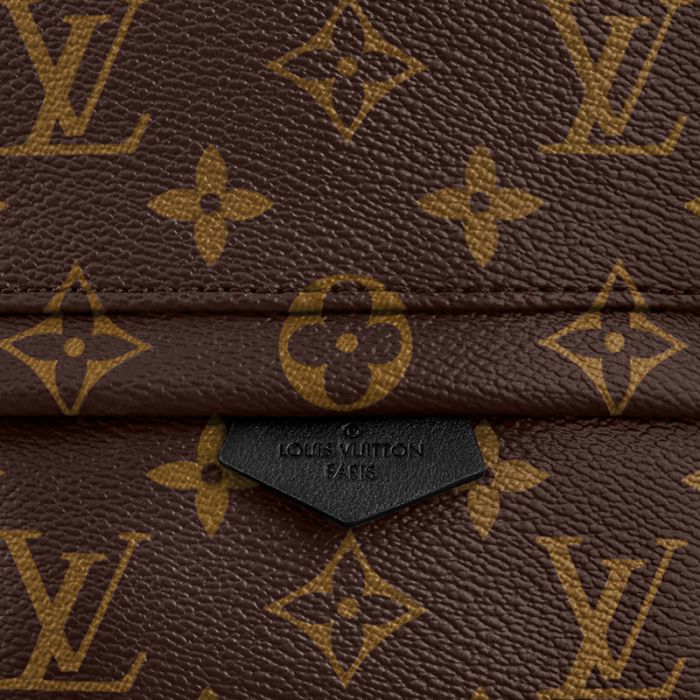 Louis Vuitton Palm Springs Mini M44873