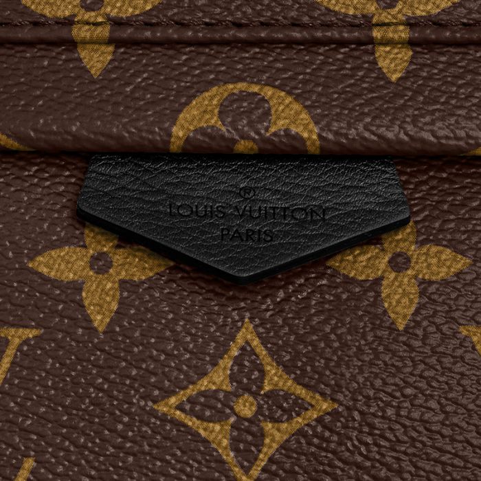 Louis Vuitton Palm Springs PM M44871