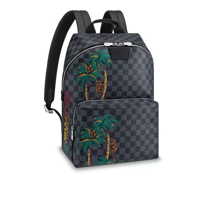 Louis Vuitton Apollo Backpack N50003
