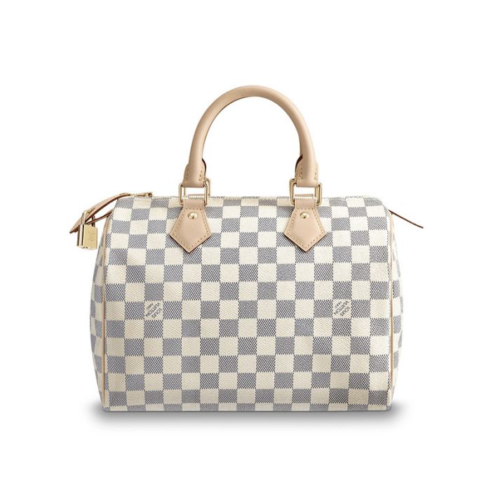 Louis Vuitton Speedy 25 N41371