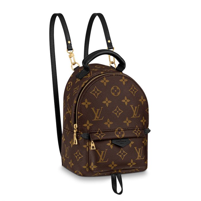 Louis Vuitton Palm Springs Mini M44873