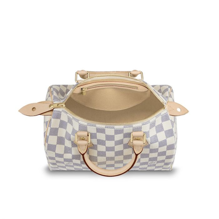 Louis Vuitton Speedy 25 N41371