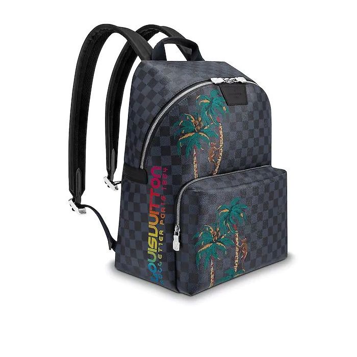 Louis Vuitton Apollo Backpack N50003