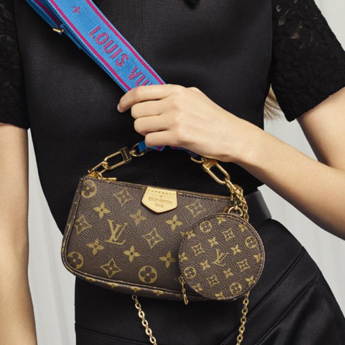 Louis Vuitton Multi-Pochette Accessoires