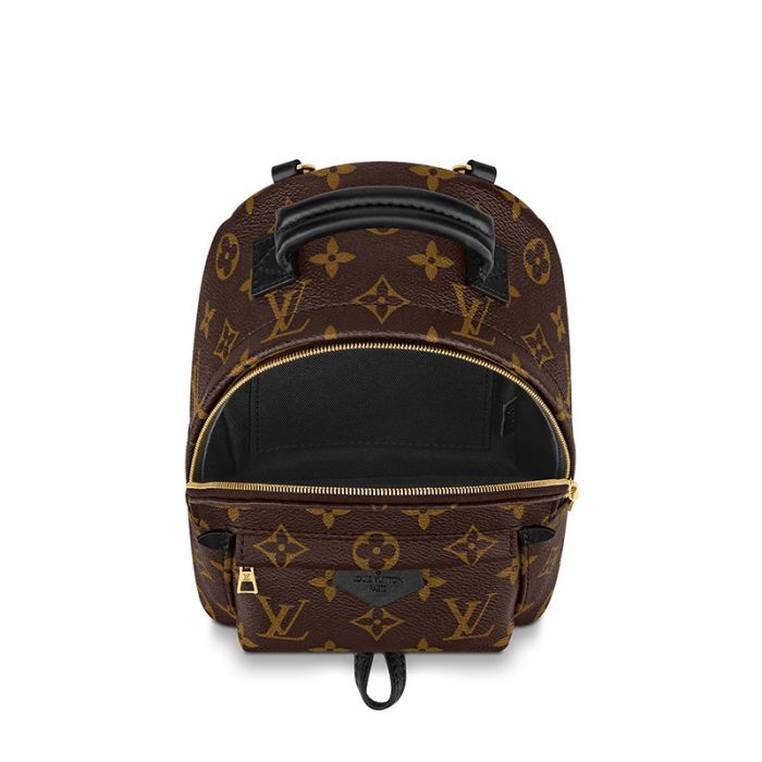 Louis Vuitton Palm Springs Mini M44873