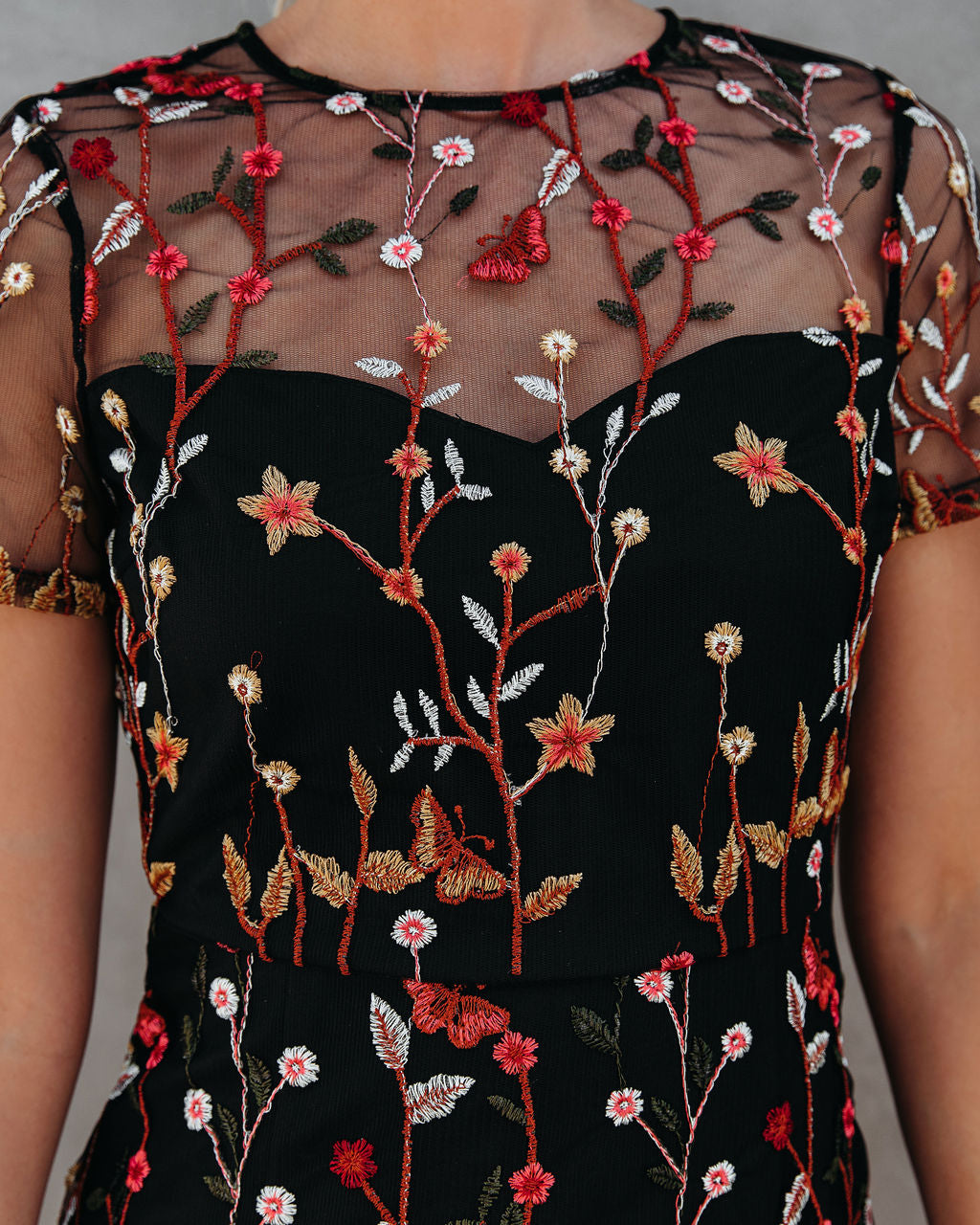 Immeasurable Joy Embroidered Mesh Maxi Dress - Black