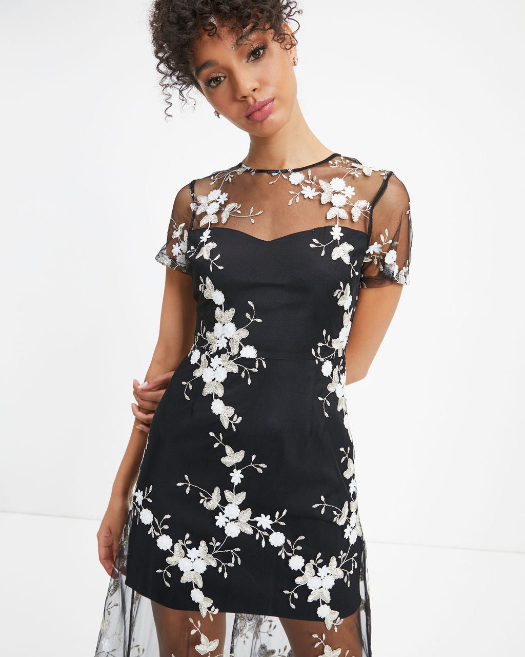 Quite Exquisite Floral Embroidered Sheer Maxi Dress - Black