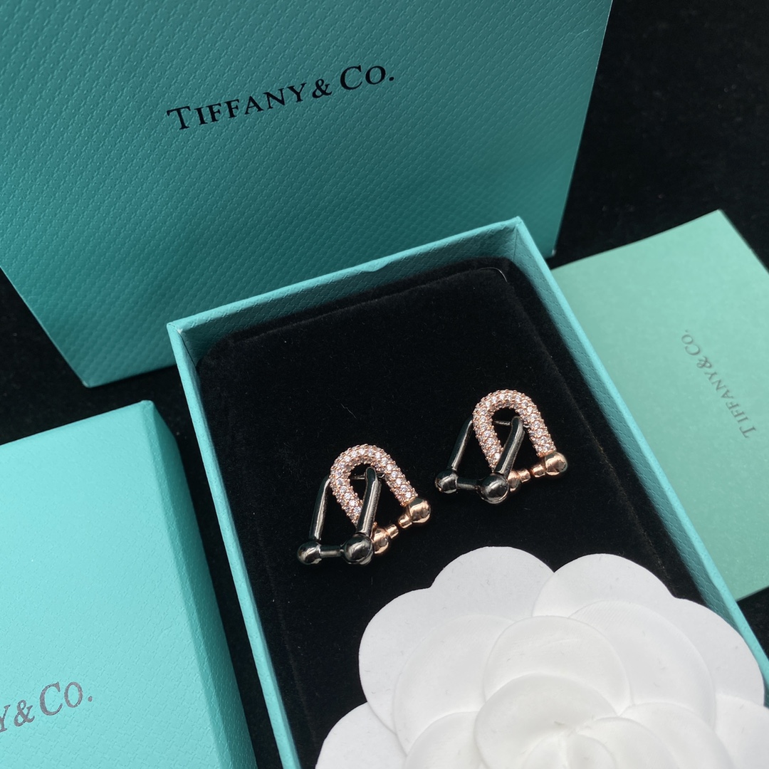 [TOP] Tiff@ny%Co Lock  Earrings - Tiffany