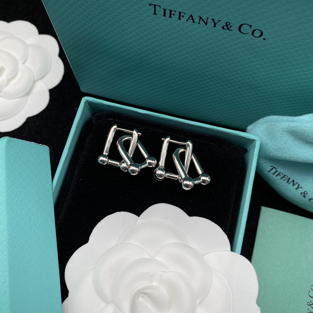 [TOP] Tiff@ny%Co Link Earrings - Silver - Tiffany