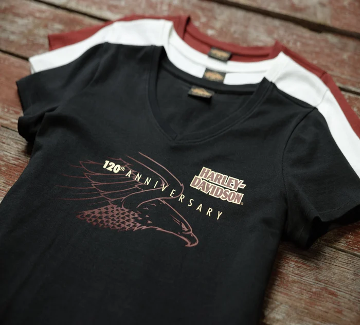 Women's 120th Anniversary United V-Neck Tee