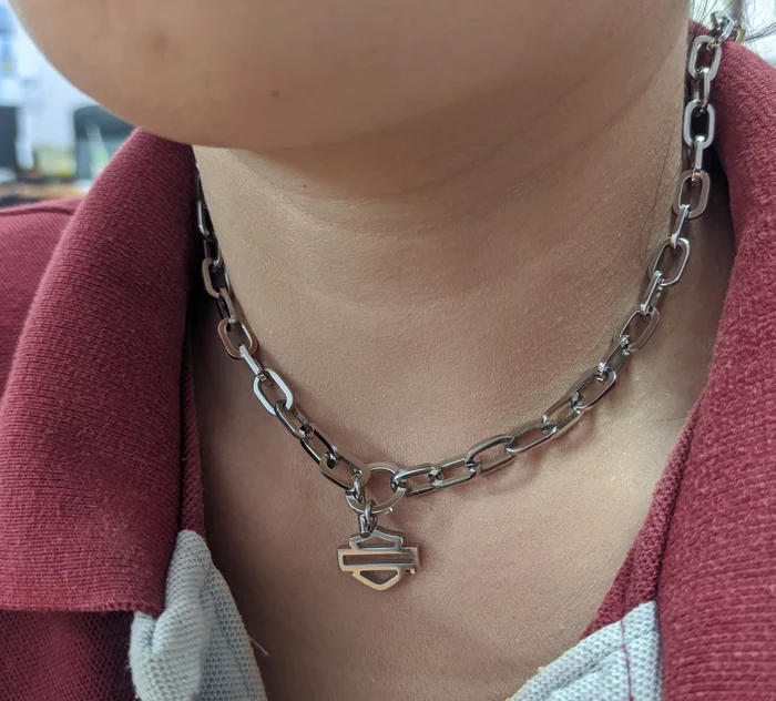 Women's Stainless Steel Bar & Shield Large Chain Toggle Necklace