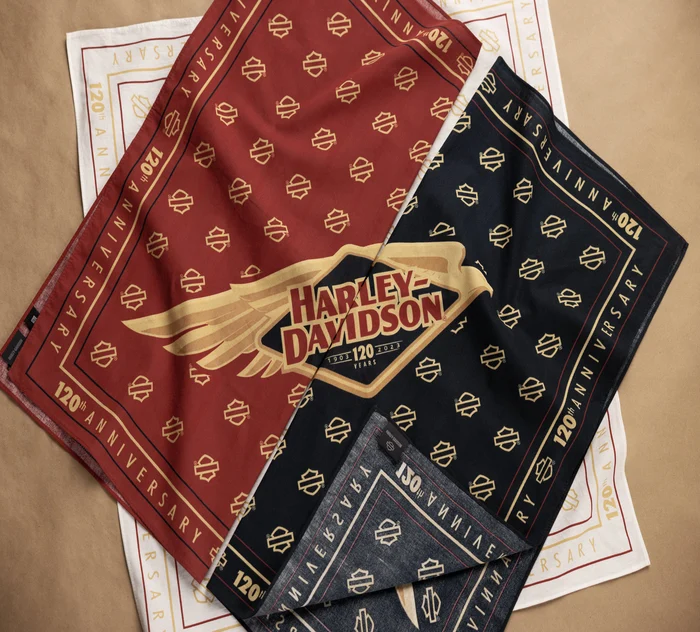 Women's 120th Anniversary Speedbird Bandana