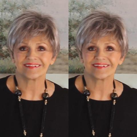 New Casual Silver Grey Short Wig