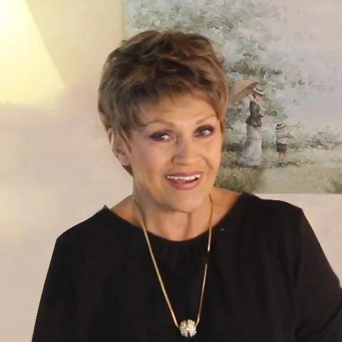 New Casual Brown Short Wig