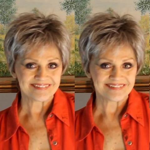 New Sweet Silver Grey Short Wig