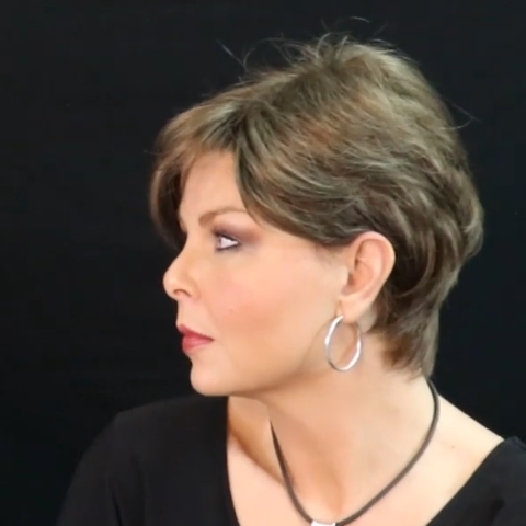 Popular Brown Black Short Wig