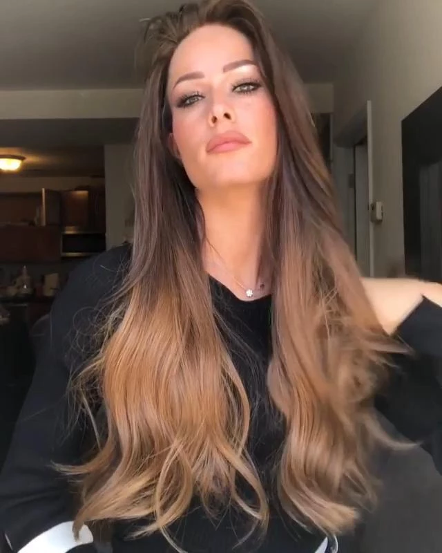 Brown Gradient Curly Wig