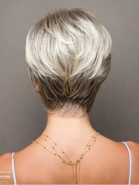 New Basic Wig
