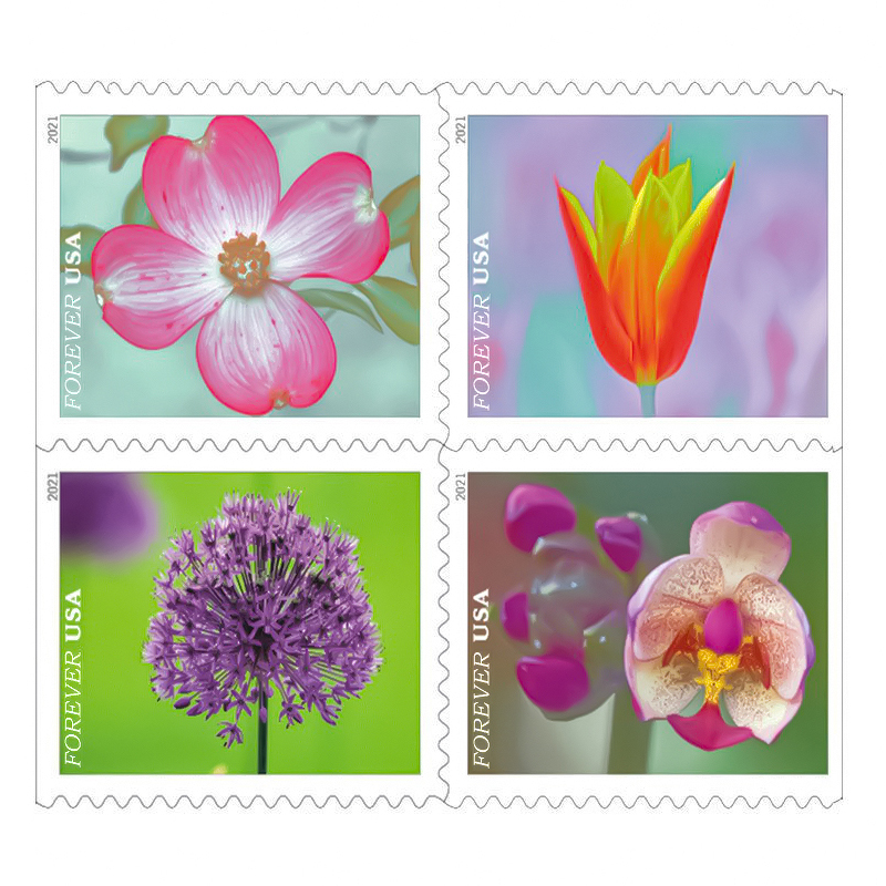 USPS Garden Beauty Forever Postage Stamps Book of 20 self-stick First Class  Wedding Celebration Anniversary Flower Party (20 Stamps)