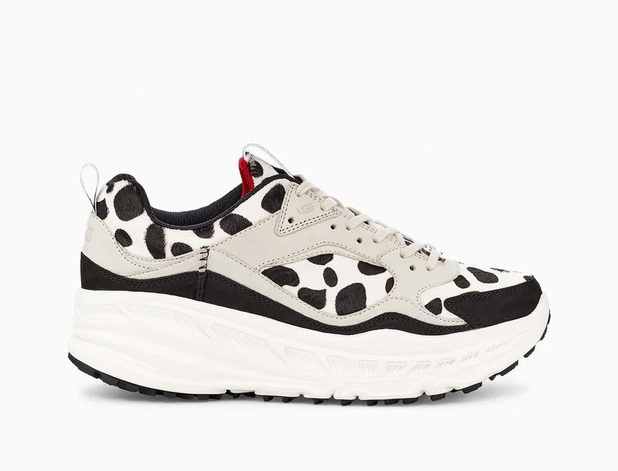 CA805 Dalmatian Print