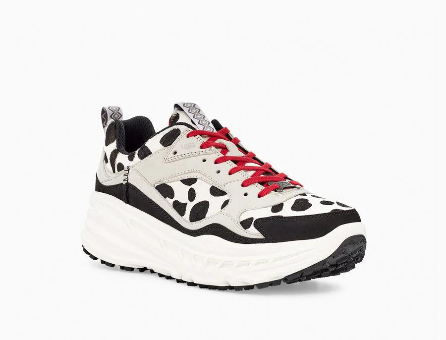 CA805 Dalmatian Print