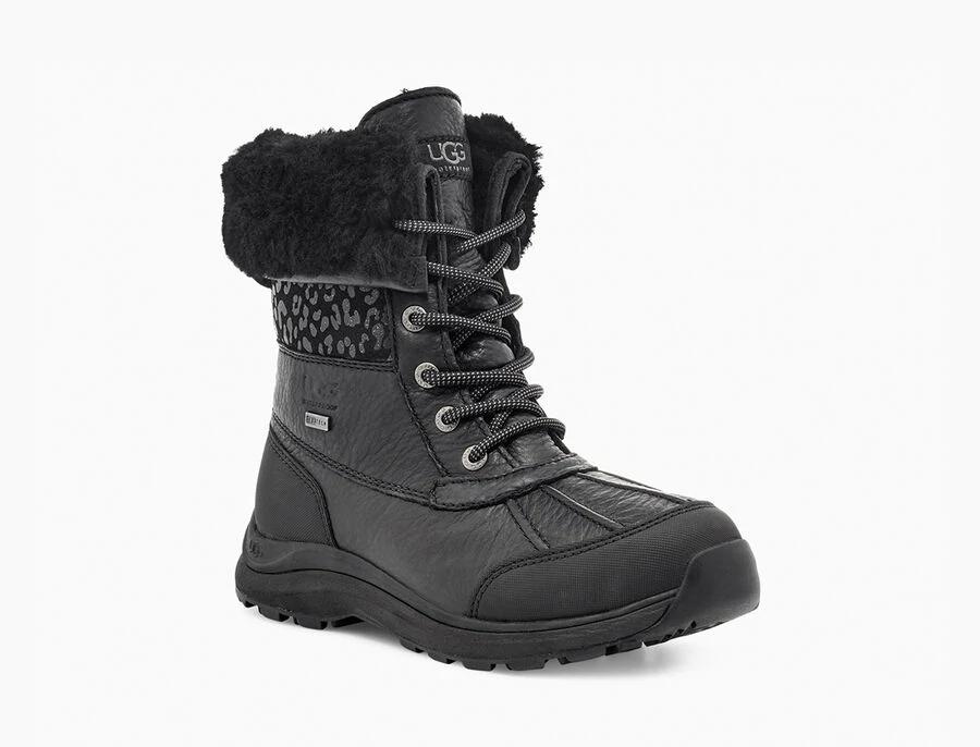 Adirondack III Snow Leopard